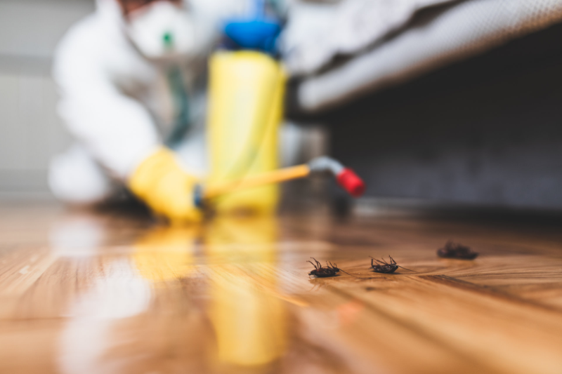 Commercial Pest Control